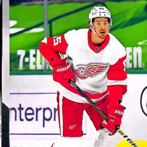 Danny DeKeyser 2021-22 Upper Deck Series 1 Hockey Base Set #64