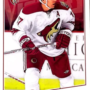 Radim Vrbata 2008-09 Upper Deck NHL Victory Base Set #48