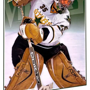 Marty Turco 2008-09 Upper Deck NHL Victory Base Set #133