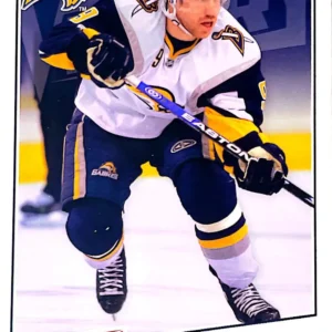 Derek Roy 2008-09 Upper Deck NHL Victory Base Set #171