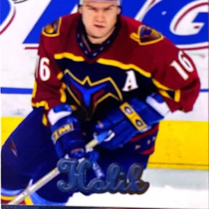 Bobby Holik 2005-06 Upper Deck Fleer Ultra Hockey Base Set #13