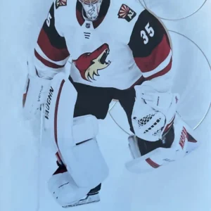 Darcy Kuemper 2020-21 Upper Deck SP Authentic Hockey Base Set #27