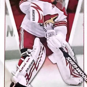 Ilya Bryzgalov 2010-11 Upper Deck Victory Hockey Base Set #146