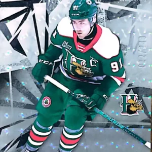 Elliot Desnoyers 2021-22 Upper Deck SP Game Used CHL Silver Foilboard Parallel #34 /249