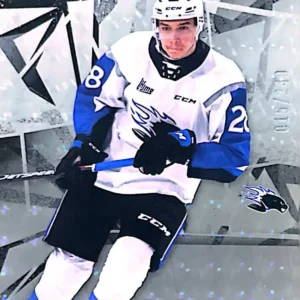 William Dufour 2021-22 Upper Deck SP Game Used CHL Silver Foilboard Parallel #67 /249