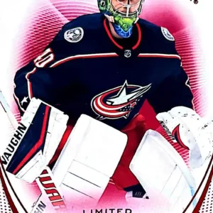 Daniil Tarasov 2021-22 Upper Deck SP Authentic Hockey Limited Red Parallel - Future Watch Parallel #197