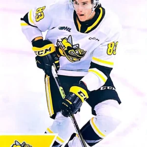 Chandler Romeo 2022-23 Upper Deck CHL Hockey Base Set #230