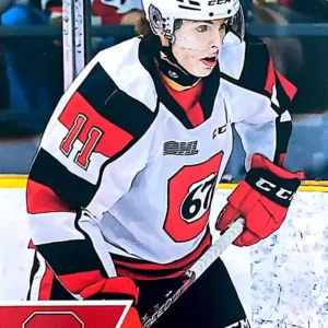 Henry Mews 2022-23 Upper Deck CHL Hockey Base Set #246