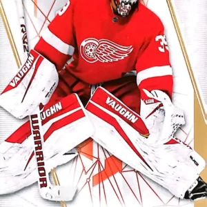 Alex Nedeljkovic 2022-23 Upper Deck SP Authentic Hockey Base Set #39