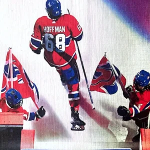 Mike Hoffman 2023-24 Upper Deck Series 1 Hockey UD Canvas #C41