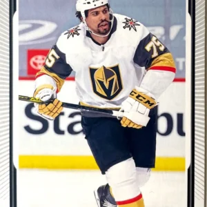 Ryan Reaves 2021-22 O-Pee-Chee Hockey Base Set #64