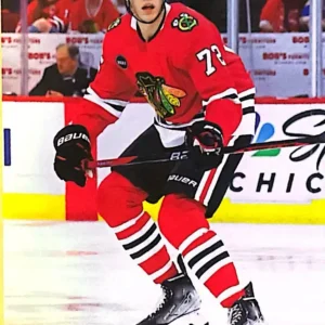 Alex Vlasic 2024-25 Upper Deck Series 1 Hockey Base Set #46