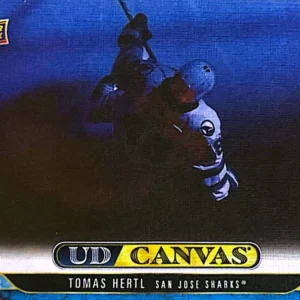 Tomas Hertl 2024-25 Upper Deck Series 1 Hockey UD Canvas #C-79
