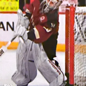 Elaine Chuli 2024 Upper Deck PWHL Hockey Base Set #3