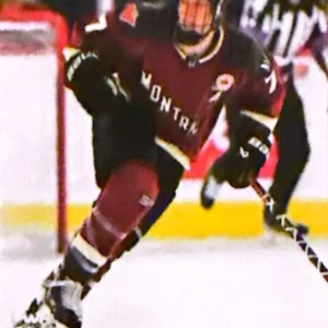 Laura Stacey 2024 Upper Deck PWHL Hockey Base Set #26