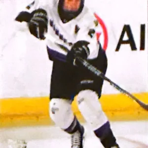 Lee Stecklein 2024 Upper Deck PWHL Hockey Base Set #27