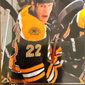 Shawn Thornton 2012-13 Upper Deck Series 1 Hockey Base #10