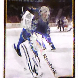 Tim Thomas 2012-13 Panini Score Hockey Base #17