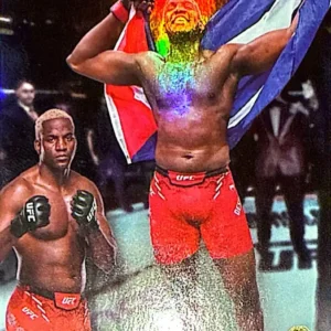 Robelis Despaigne 2024 Topps Gold Label UFC Class 1 Base #77