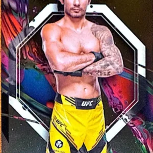 Alexandre Pantoja 2024 Topps Finest UFC Base Set #28