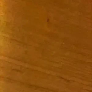 John-Michael Liles 2009-10 Upper Deck Victory Hockey Base Set #48