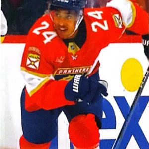 Justin Sourdif 2024-25 Upper Deck Series 2 Hockey Base Set #320