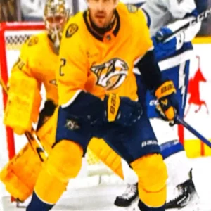 Luke Schenn 2024-25 Upper Deck Series 2 Hockey Base Set #347