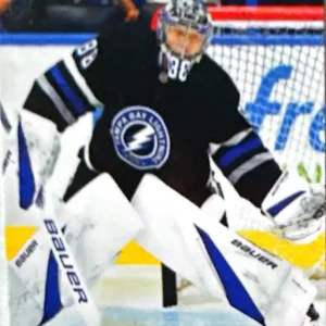 Andrei Vasilevskiy 2024-25 Upper Deck Series 2 Hockey Base Set #405