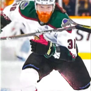 Liam O'Brien 2024-25 Upper Deck Series 2 Hockey Base Set #422