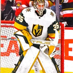 Ilya Samsonov 2024-25 Upper Deck Extended Series Hockey Base Set #638