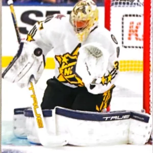 Connor Hellebuyck 2024-25 Upper Deck Extended Series Hockey Base Set - All-Star #673