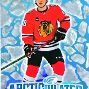 Connor Bedard 2024-25 Upper Deck ICE Hockey Articulates #AT-9