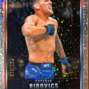 Esteban Ribovics 2025 Topps Chrome UFC Base Speckle Refractor #75 /250